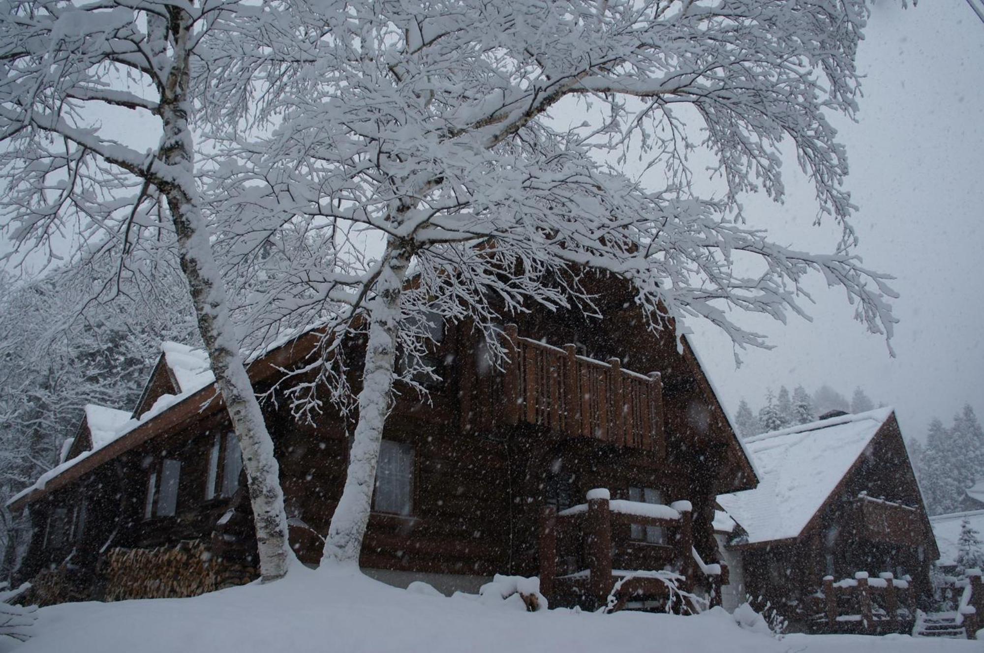 log Hotel kamloops Shinano  Eksteriør billede
